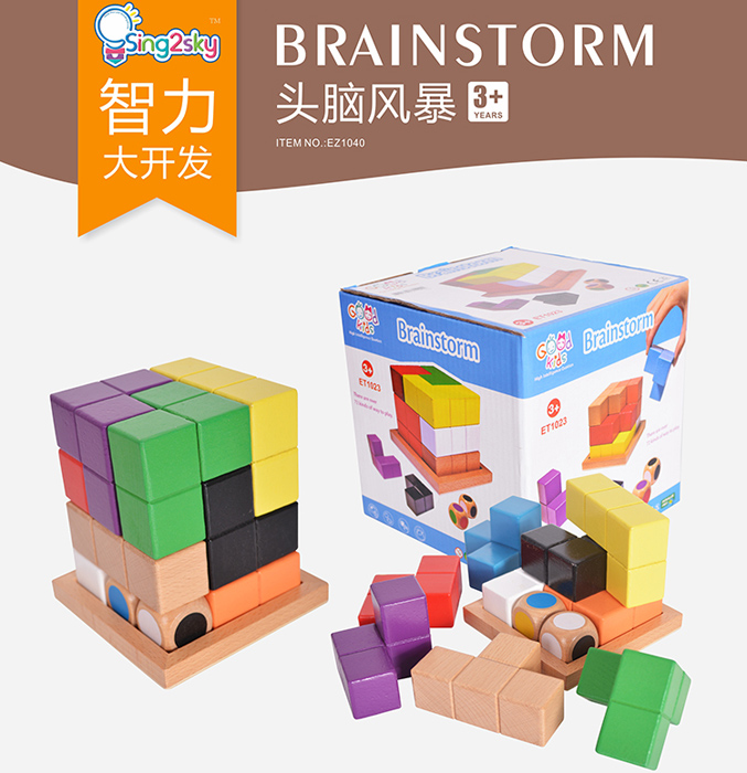 Educational Wooden Toys Brain Storm